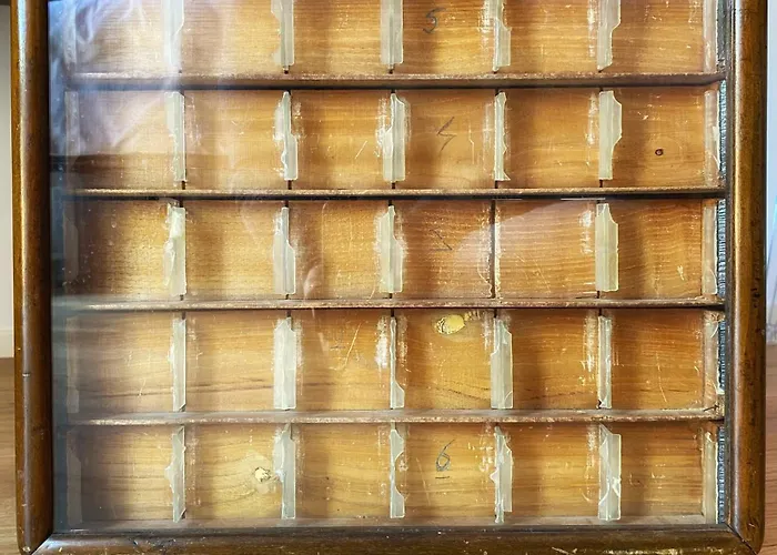 Relax In Style - Motta